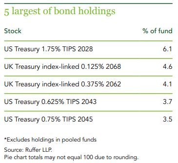 ruffer investment company bond holdings sharepad